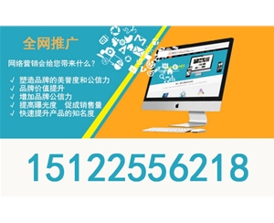 天津网络营销